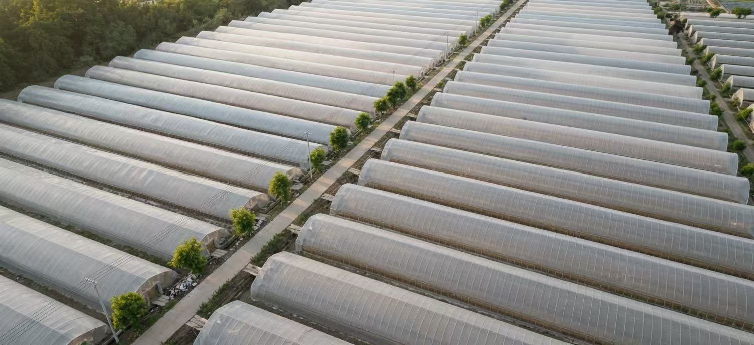 Chuhe Food facility exterior